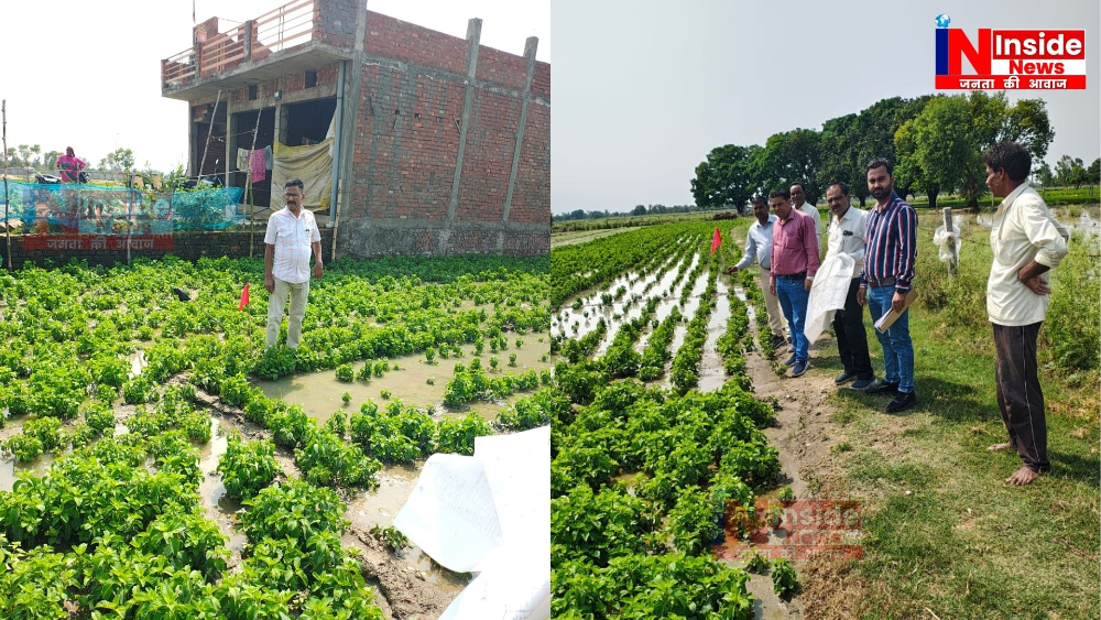 जिला बाराबंकी के अंतर्गत स्टाम्प शुल्क बकाया पर प्रशासन सख्त, ग्राम गदिया में भूमि कुर्क